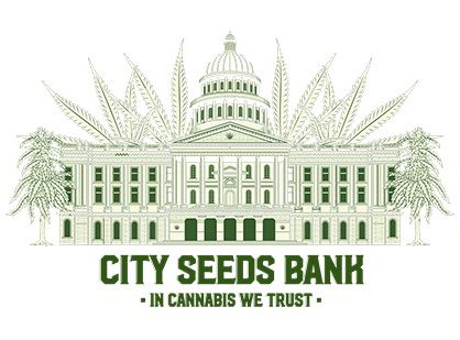 Encuentra nuestros productos en la tienda City Seeds Bank